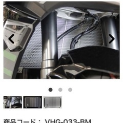 【美品】カワサキNinja1000sx用 ブラックメッキラジエターコアガード　トリックスターの画像