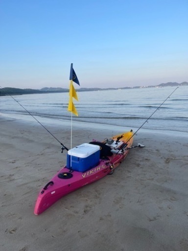 バイキングプロフィッシュ45  決まりまた