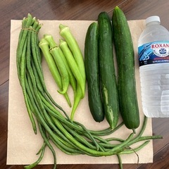 夏野菜❤︎.*かご盛りの画像