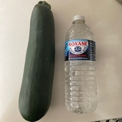 夏野菜❤︎.*かご盛りの画像