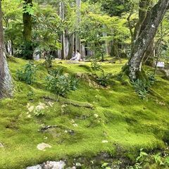 今日はお元気ですか。お互いに知り合いましょう。