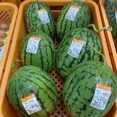 大分県 杵築,日出産　甘くておいしいスイカ
