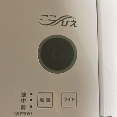ここひえの画像