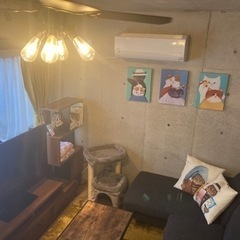 川崎★猫付き🐈女性用シェアハウス