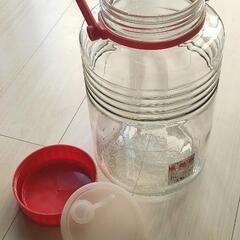 果実酒 瓶 5Lの画像