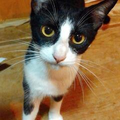 仲良し姉妹❣️