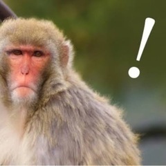 「🐵申年🐵」 - 友達