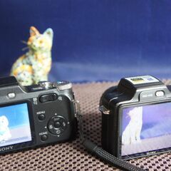 オールドデジカメの凱旋③　サイバーショットH3＋H10の画像