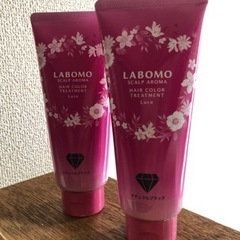 ヘアカラートリートメント2本　アートネーチャー製