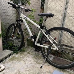 louisgarneau マウンテンバイク
