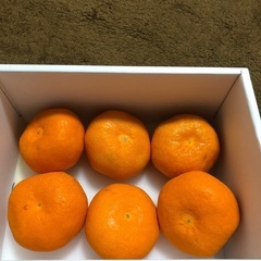 ☆☆みかん☆☆
