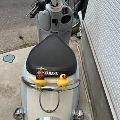 ビーノの画像