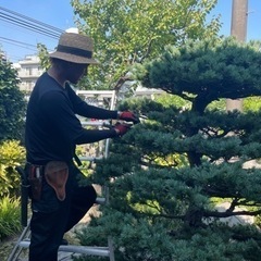 植木の剪定、お庭の年間管理（損害保険加入済み）