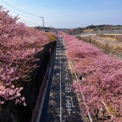 一緒にカメラぶら下げながら散歩でもしましょう🙋‍♂️🙋‍♂️