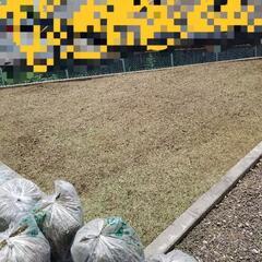 【モニター募集限定1名】　草刈り　刈り払い　無料　