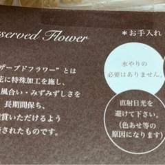 取引中！ブリザードフラワー　ギフト　バラの画像