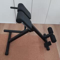 リーディングエッジ バックエクステンションベンチ トレーニングベンチ