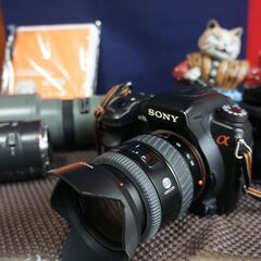 セミプロ用　α700　まだまだ元気です　の画像