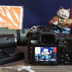 セミプロ用　α700　まだまだ元気です　の画像