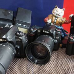 ニコン　D60　D80　D100　レンズ2本　おまけ付き