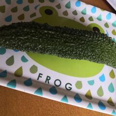 引き取り予定者がきまりました 野菜10種類以上の画像