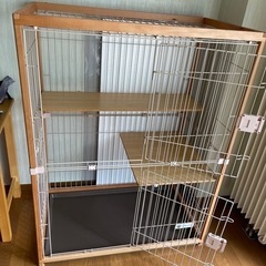 猫ゲージ　決まりました。の画像