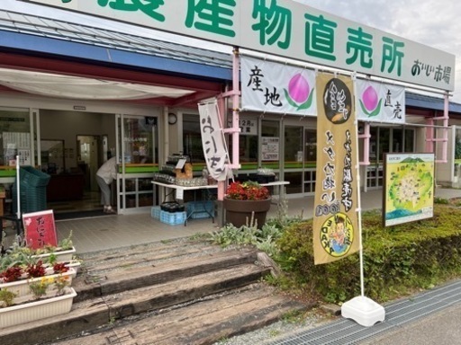 メダカ販売中！