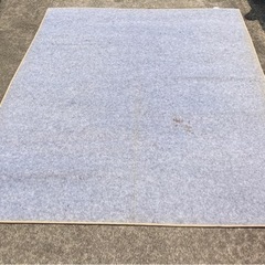 キャンプやBBQ用に☆2m強 特大い草ラグ、2枚の画像