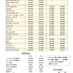 【子犬限定！！】モデル犬探してます。一律3000円 - ペット