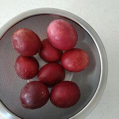 決まりました　パッションフルーツ