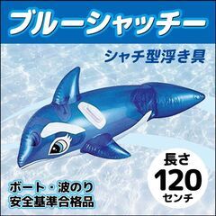 フロート ブルーシャッチー 120cm 取っ手つき 浮き具 の画像