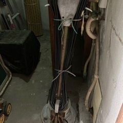 ポリシャー？の画像