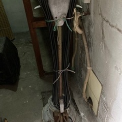 ポリシャー？の画像