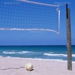 ビーチバレーしませんか？🏐🏖✨