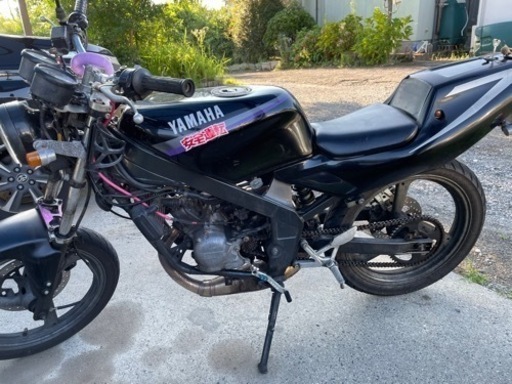 ヤマハ tzr50r 4eu