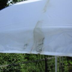 Mizuno パラソル 大型 ミズノカラー 新品未使用品の画像