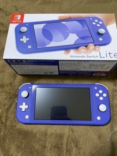 スイッチライト(付属多数)　本日のみ