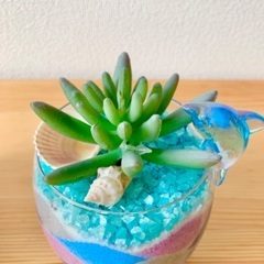 カラフルなサンドを使って海を感じるアレンジを作りましょうの画像