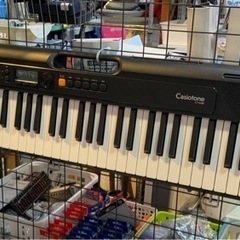 9/20 値下げ⭐️美品⭐️2019年製 CASIO 61鍵盤 ...