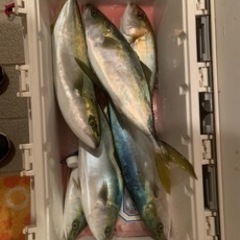 神奈川、千葉釣り友達⁽⁽ଘ( ˊᵕˋ )ଓ⁾⁾