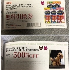 ペットの専門店コジマ　プラチナクーポンブック　2022年春　丸ごと1冊の画像