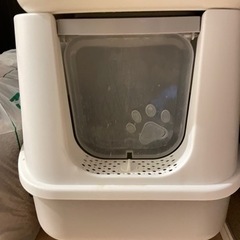 猫　トイレの画像