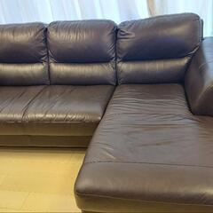 商談中　ソファー　本革　ダークモカ　