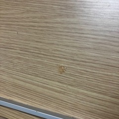 ダブルベッド！の画像