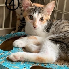 元気いっぱい！女の子です♡