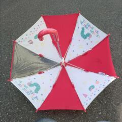【交渉中】はらぺこあおむし傘40cmの画像