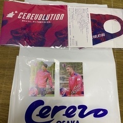 セレッソ大阪　布マスク2枚　選手カード2枚