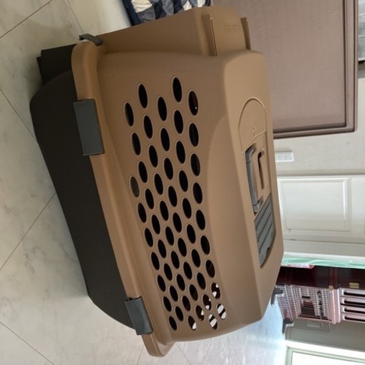 犬　キャリーケース