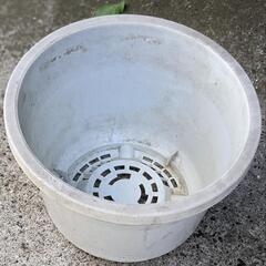 【おまけ】植木鉢 中の画像
