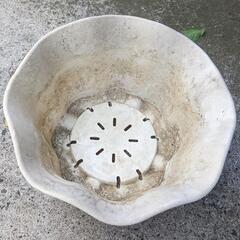 花の形 植木鉢 2個セットの画像